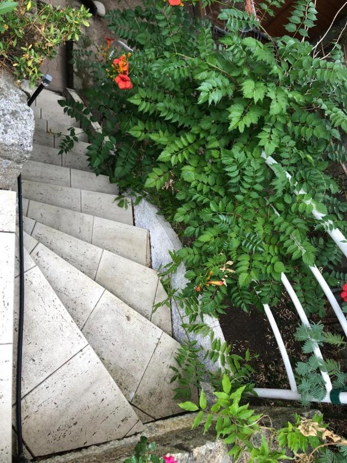 Villa 10-12 Pers Centre La Baule 300M De La Mer מראה חיצוני תמונה
